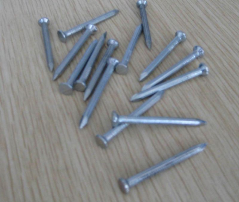 Concrete Nail/Galvanized Roofing Nail