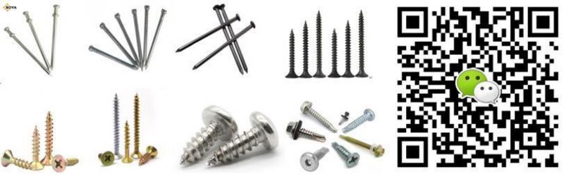 Phosphated Galvanized Perfect Quality and Bottom Price Black Drywall Screw for Building