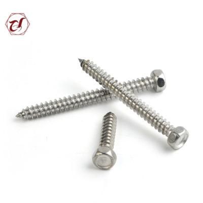 Stainless Steel Self Tapping A2 304 Screw with Good Price