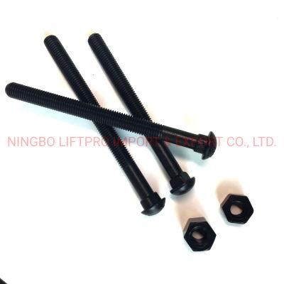 China Track Bolt and Nut Rail Way Black &amp; SS304 SS316 Bolt