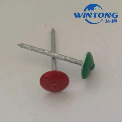 High Quality Electro Galvanized Roofing Nail Umbrella Head Zinc Roofing Nail