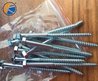 Lag Screw Self Tapping Wood Screw Customized Wood Screw