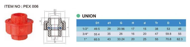 Era Brand PP Pipes and Joints Thread Fittings Union