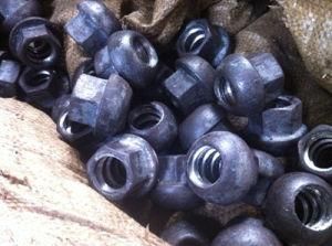 Hex Nuts /Ring Nuts/Nuts