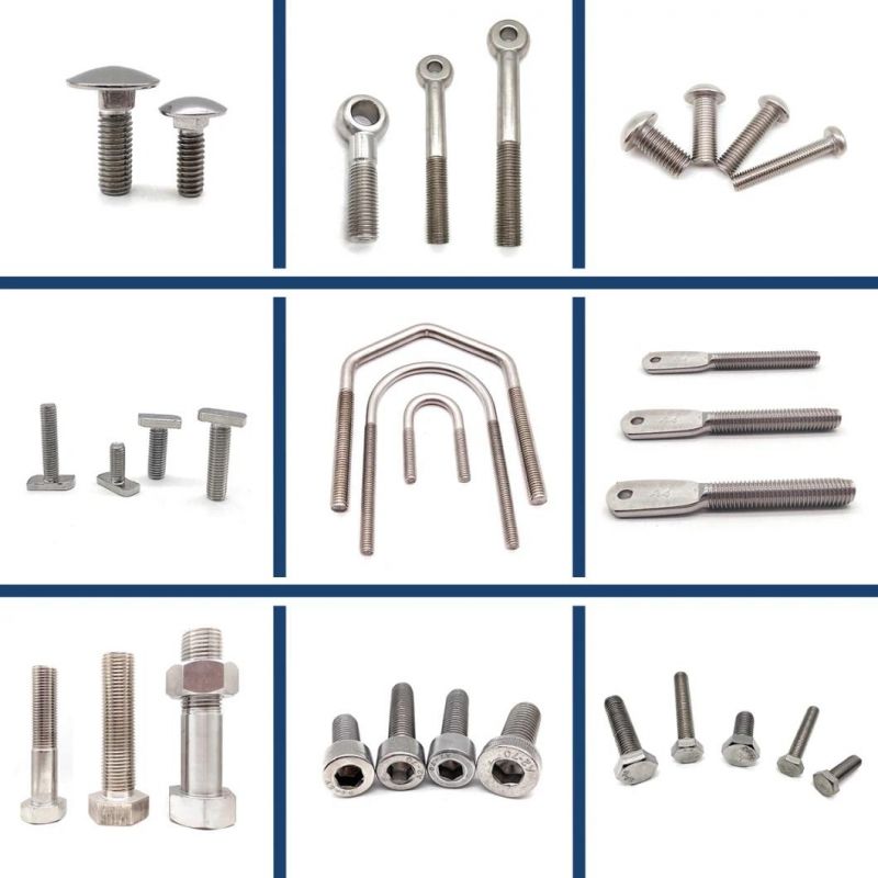Stainless Steel 304 316 Torx Socket Coarse Thread Pan Head Machine Screw