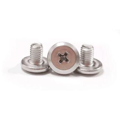 Ultra Low Head Phillips Cross 316 304 Stainless Steel Screw