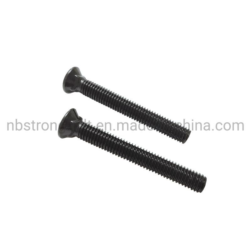 Flat Countersunk Square Neck Bolt with Black