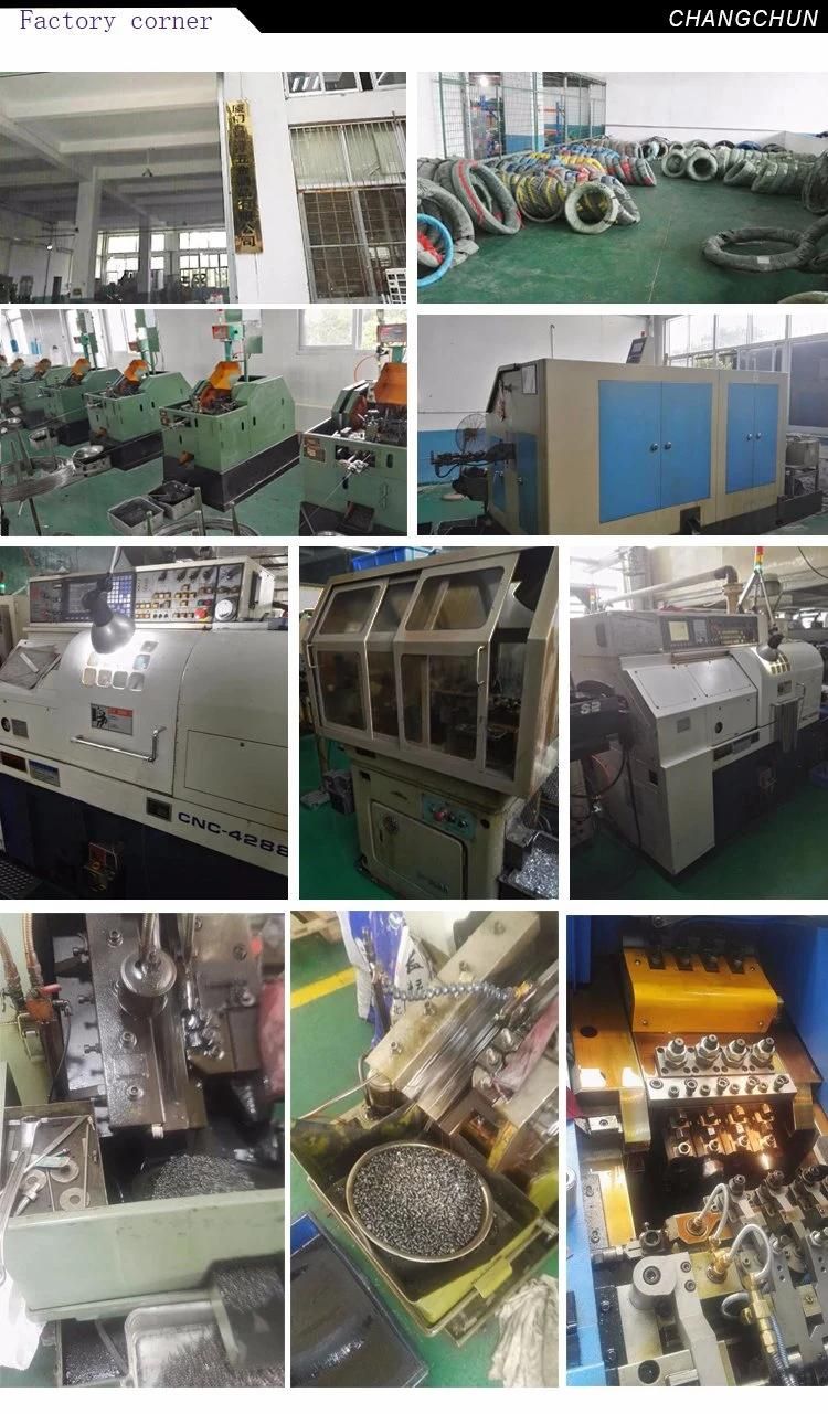 Self Tapping Screw Machine Screw Pan Head Countersunk Head Screw