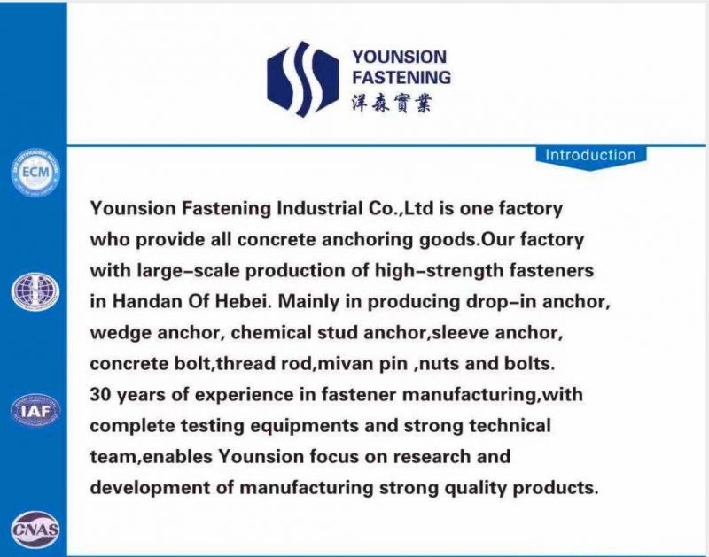 Hexagon Head Flange Head Pan Head with Washer Sem Screw Assembled Screw or Combination Screw