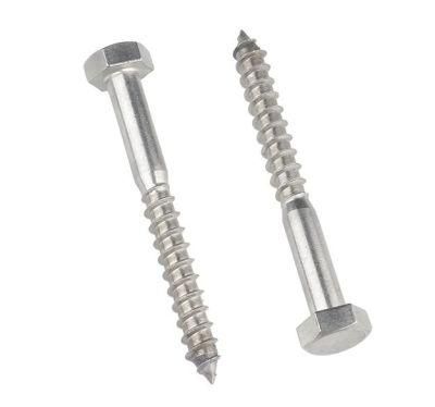 China Fasteners Supplier DIN571 Galvanized or Stainless Steel SS304 SS316 Hex Head Wood Screw Lag Bolt Coach Screw