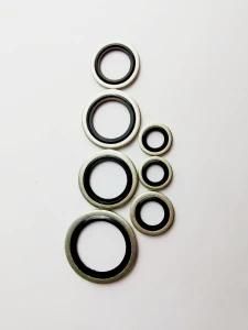 Bsp Standard Bonded Seal Washer