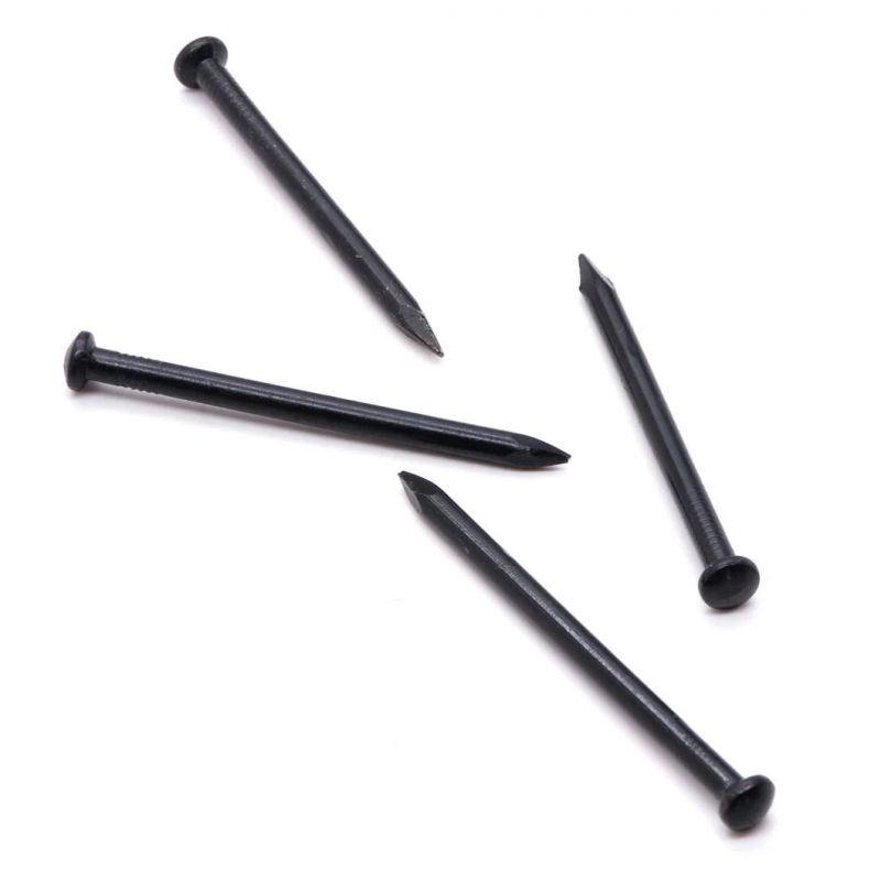 Magnetic Concrete Nail Stainless Steel Concrete Nail