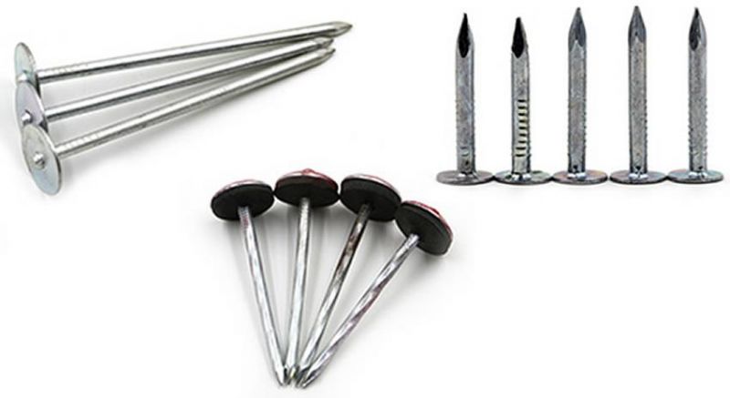 Galvanized Wire Nails for Concrete/Umbrella Roofing Nails
