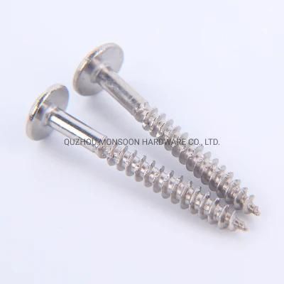 Stainless Steel Self-Tapping Screws