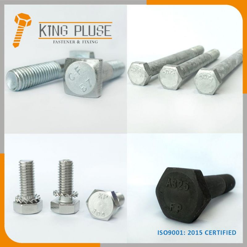 Hex Bolt/Carriage Bolt/Anchor Bolt/Flange Bolt/T Bolt/Square Head Bolt/Hex Socket Cap Screw/Square Bolt/Wing Bolt/Eye Bolt/Knurled Bolt/U Bolt/Hex Cap Screw