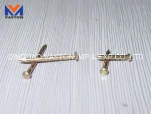 Galvanized Iron Concrete Steel Nails