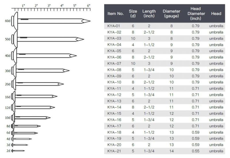 Galvanized Wire Nails for Concrete/Umbrella Roofing Nails