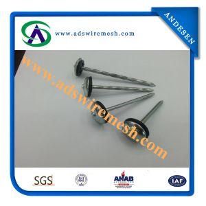 0.12X1-3/4&quot; Coiled Roofing Nail for Sale Manufacture in China