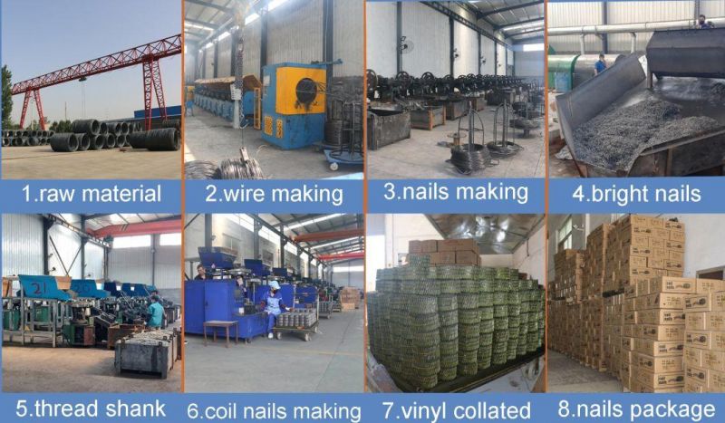 15 Deg. Wire 2"X0.099" Coil Nails Manufacturer for Pallet Price