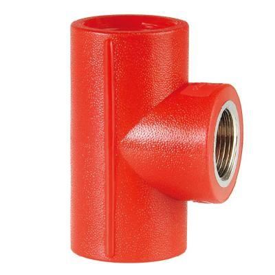 Era Brand PP Pipes and Joints Thread Fittings Reducer Female Thread Tee