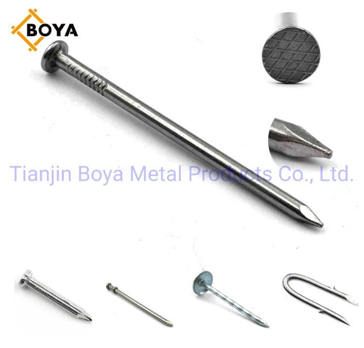 Q195 Polished Common Nail/Galvanised Iron Nail/Hardware for Construction