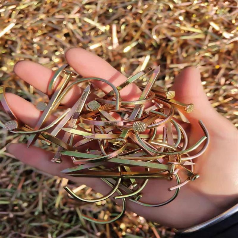 Quality 6 Points Plus Hard Lgalvanized Hook Nails
