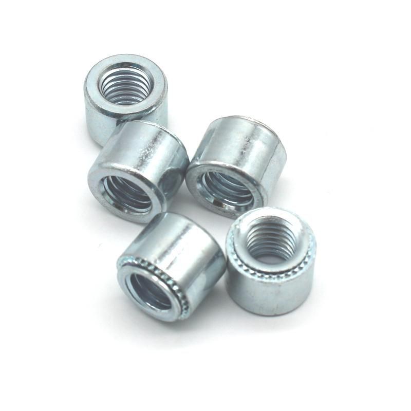 China High Quality Pem _Clinch _Riveting _Nuts, Standoffs, Studs Products