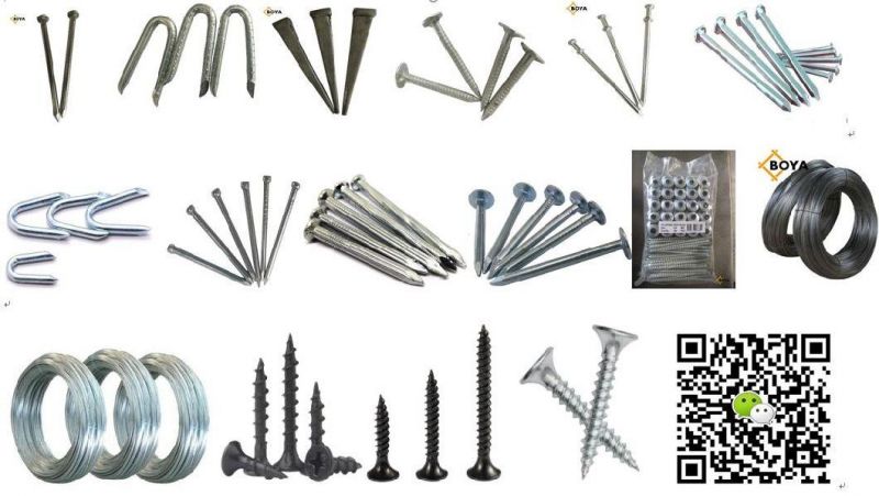 Construction Nails Steel Concrete Nails Common Iron Nail for Building Construction