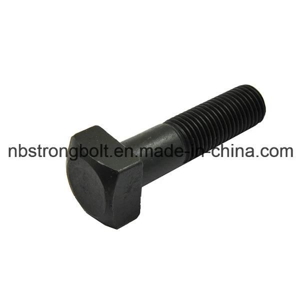 Square Head Bolt Screw with Black Oxid DIN1587 More Than 10 Years Produce Expricence Factory