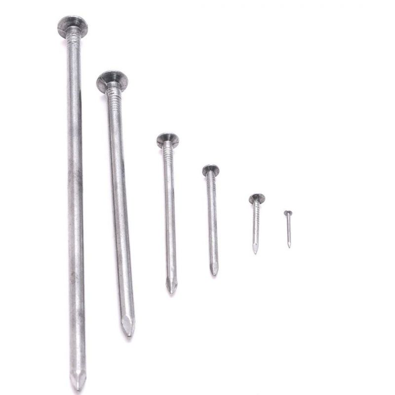 High Quality Q195 Wire Rod Common Nails