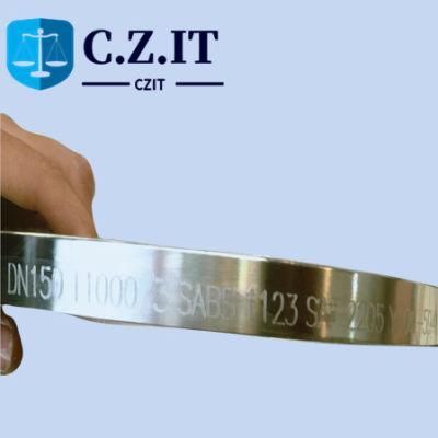 Plate FF Integral Forged Stainless Steel S32205 Flange