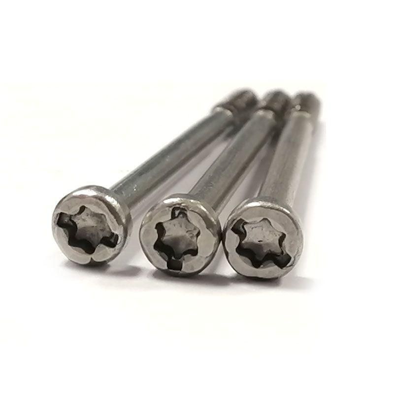 Stainless Steel Special Drive Slotted Torx Cap Head Tamper Proof Security Anti-Theft Self Tapping Screw