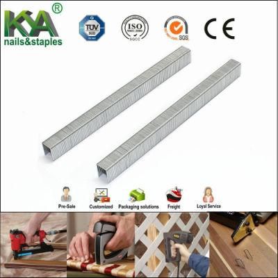 Galvanized Fine Wire Staples (FASCO 7C) for Industry and Furnituring