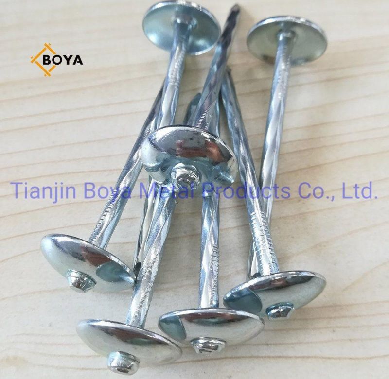 Prego Clavos / Galvanized Roofing Nails Plain and Twisted Shank