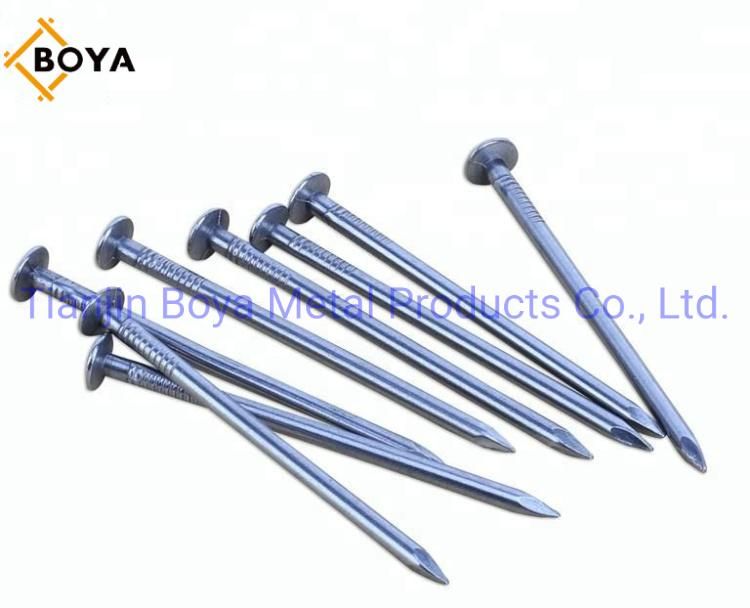Common Round Head Iron Wire Nail Made in China