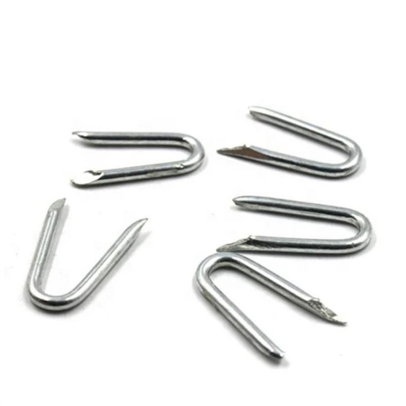 U-Shaped Nail Staples Pins
