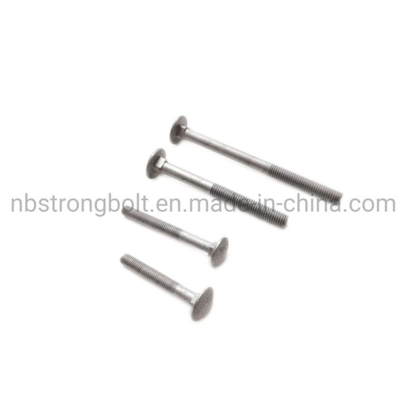 ANSI/ASME B 18.5.2.3m Metric Square Neck Bolt with Large Head