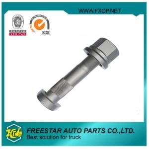 10.9 12.9 D Head Truck Wheel Bolt with Flange Nut