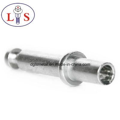 High Quality Factory Price of Stainless Steel Rivets/ Non-Stardard Rods