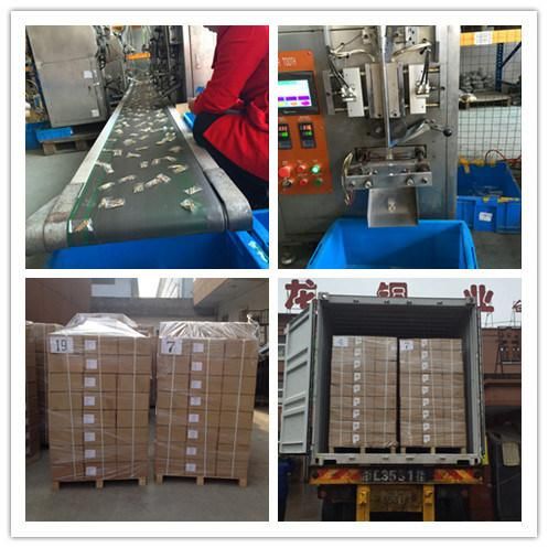 High Quality Brass Cold Forging Standard Screw Nuts Fitting