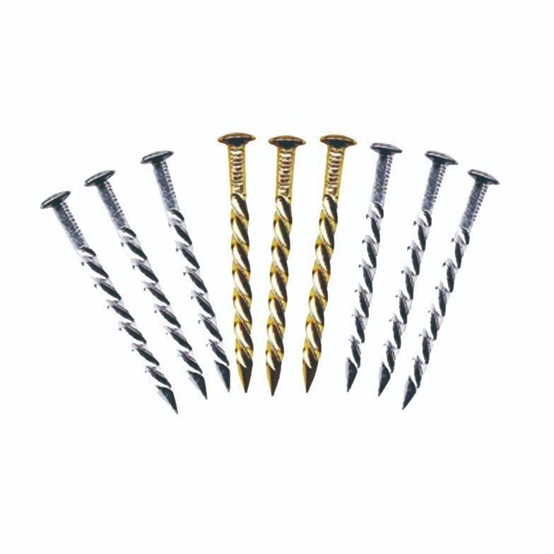 Electro Galvanized Convex Head Threading Screw Shank Nail