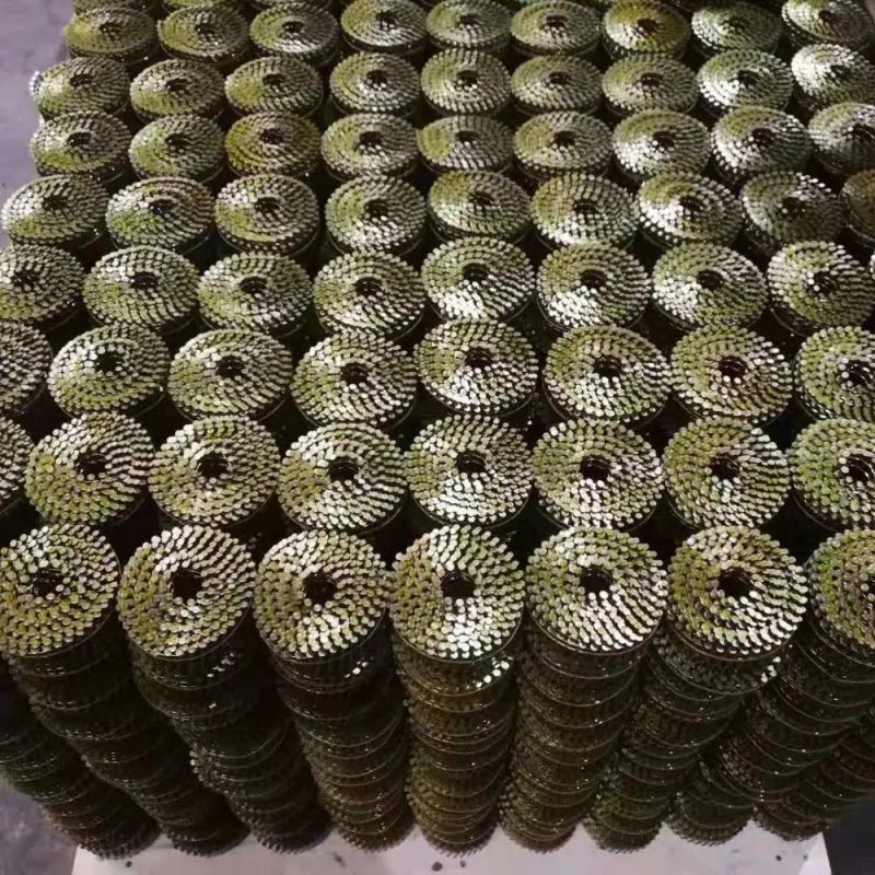 High Quality Electro Galvanized China Coil Roofing Nails for Gun