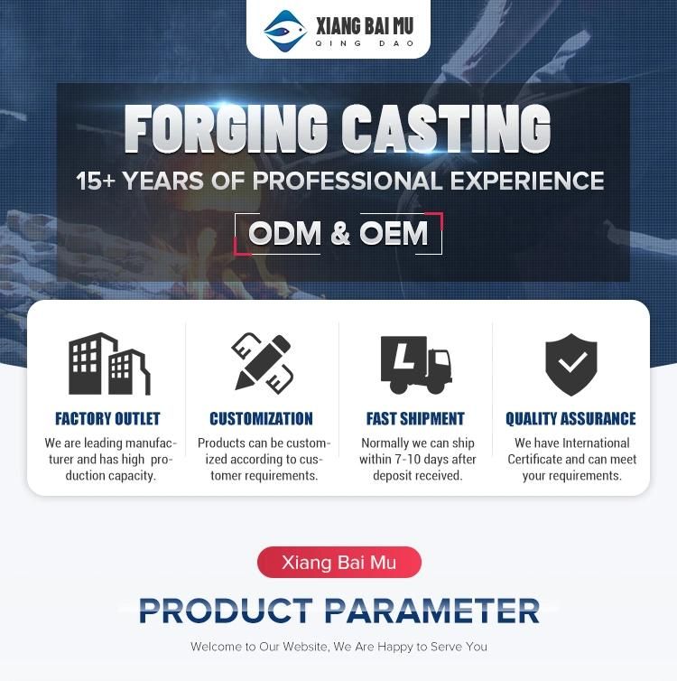 OEM Aluminum Alloy Precision Casting Flange