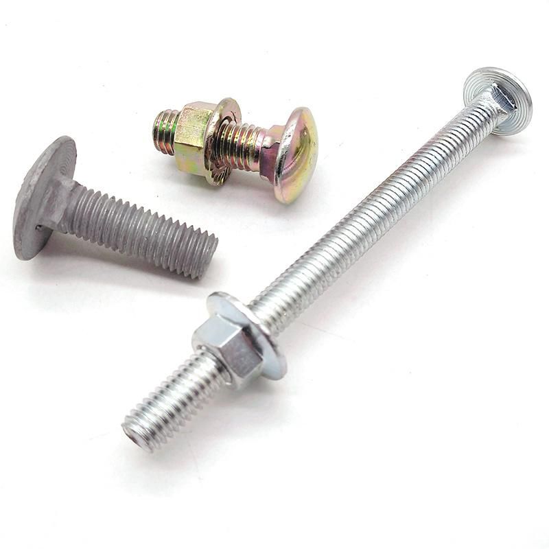 Stock Stainless Steel 304 316 Carriage Bolts -5