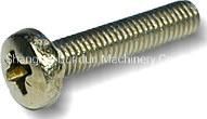 Fastener/ Screw/ Self Tapping Screw/ DIN7981/ DIN7982/ DIN7985/ Machine Screw /Pan Head Countersunk Head /Stainless Steel Screw