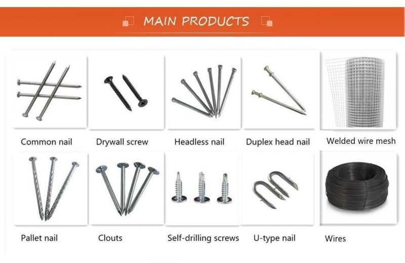 Factory Sale Electro Galvanized Duplex Head Nail with High Quality