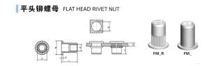 Flat Head Rivet Nut