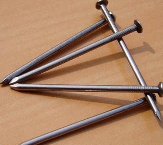 Factory OEM Common Galvanized Iron Polished Nail