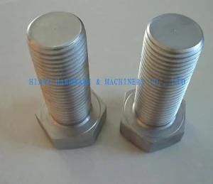 Stainless Steel Hex Bolt, Stainless Heavy Bolt (M48)