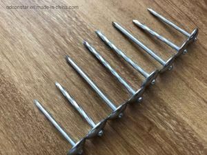 Zinc Coated Umbrella Head China Roofing Nails for Africa Market
